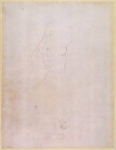 Estudo de um torso masculino (verso) (para reto ver 192512)